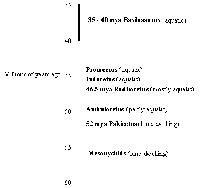 Fossil Graph 1