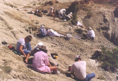 Egg shoreline
